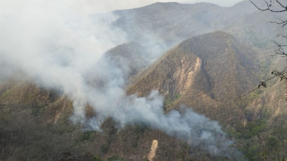 Incendios forestales Parque Nacional Iñao