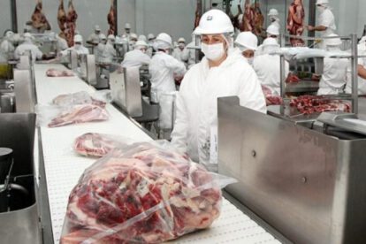 Pérdidas del sector exportador por suspensión temporal y paro cívico