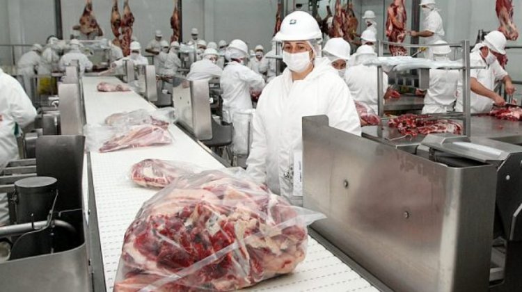 Pérdidas del sector exportador por suspensión temporal y paro cívico