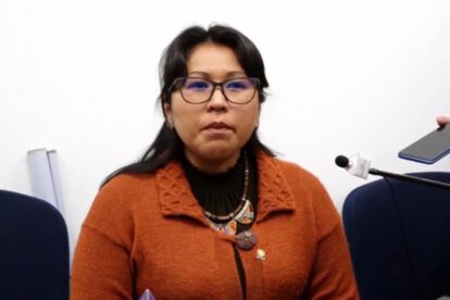 Gladys Quispe en la Cámara de Diputados