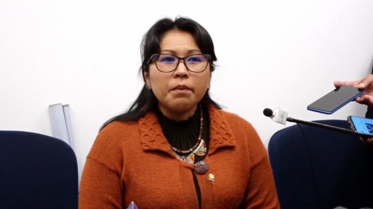 Gladys Quispe en la Cámara de Diputados