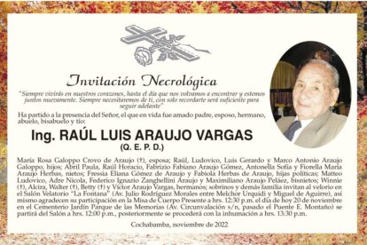 Ing. Raúl Luis Araujo Vargas Q. E. P. D.