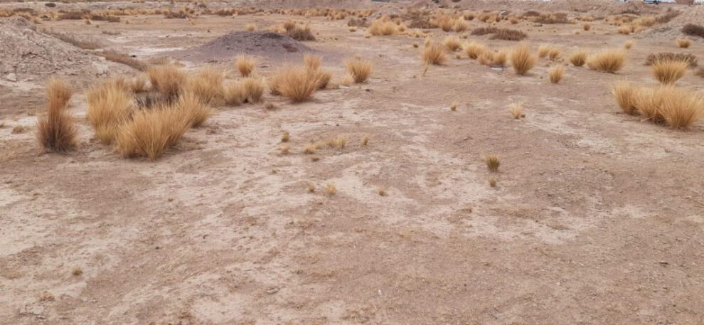 Huayllamarca y Challapata en emergencia por sequía y heladas