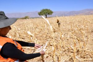 Sequía en Bolivia debido al fenómeno La Niña