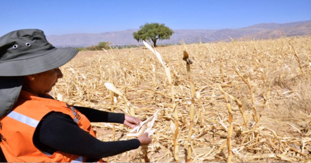 Sequía en Bolivia debido al fenómeno La Niña