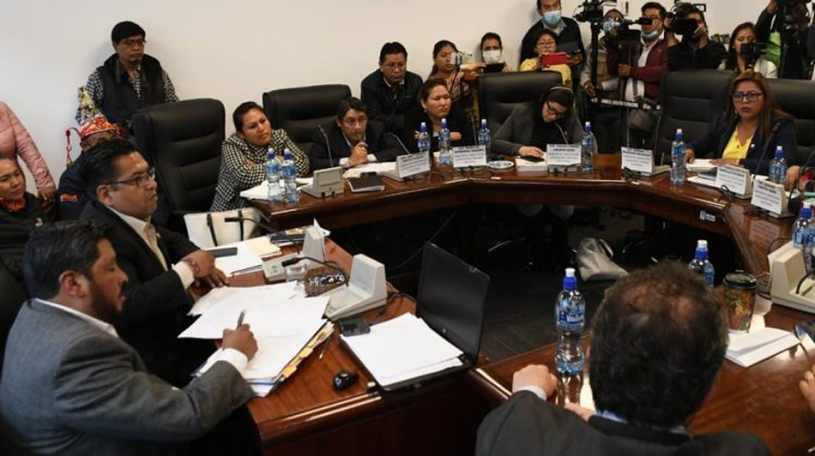 Ley del Censo en análisis en la Comisión de Constitución