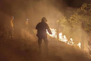Incendios forestales en Santa Cruz afectan a seis municipios