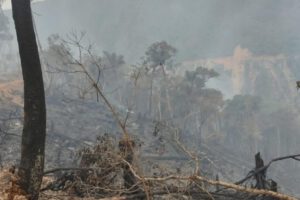 Incendio en Los Yungas afecta la respiración
