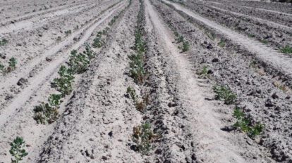 Falta de agua en Oruro