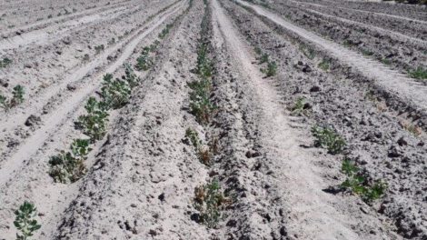 Falta de agua en Oruro