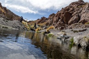 Fallo de la CIJ sobre las aguas del Silala