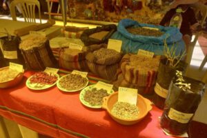 Cobertura vegetal para conservar suelos en Oruro