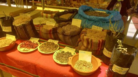 Cobertura vegetal para conservar suelos en Oruro