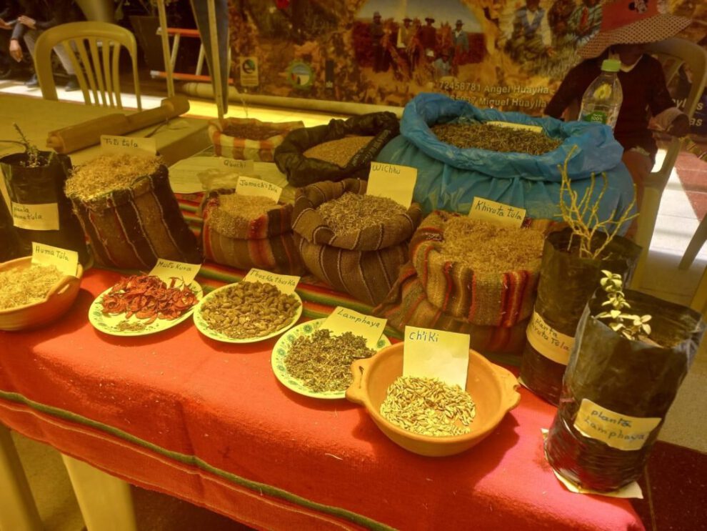 Cobertura vegetal para conservar suelos en Oruro