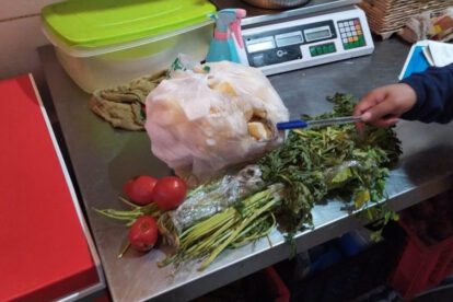 Normas de inocuidad en establecimientos de comida rápida