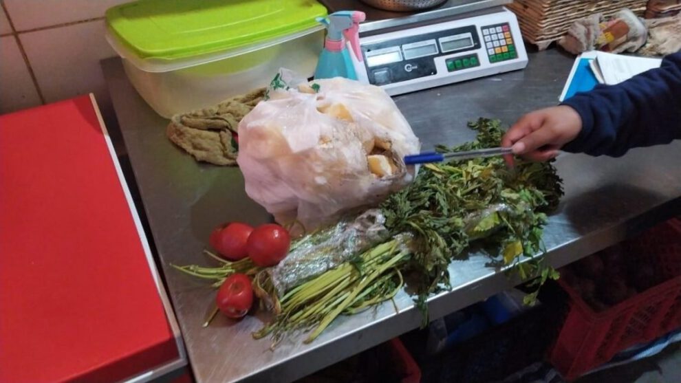 Normas de inocuidad en establecimientos de comida rápida