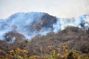 Incendio en el Parque Aguaragüe en Yacuiba
