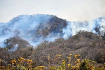 Incendio en el Parque Aguaragüe en Yacuiba