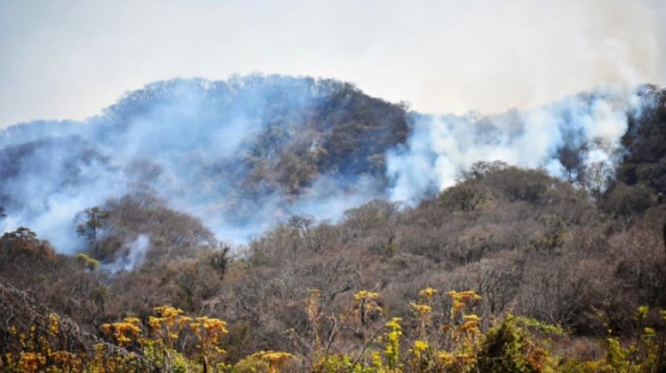 Incendio en el Parque Aguaragüe en Yacuiba
