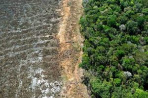 Vulneraciones a derechos socioambientales en Santa Cruz