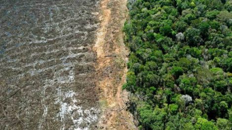 Vulneraciones a derechos socioambientales en Santa Cruz