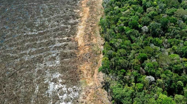 Vulneraciones a derechos socioambientales en Santa Cruz