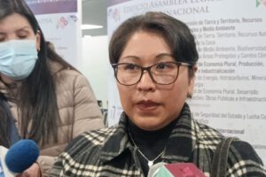 La diputada del MAS, Gladys Quispe, reclama sobre el presupuesto de senadores y diputados