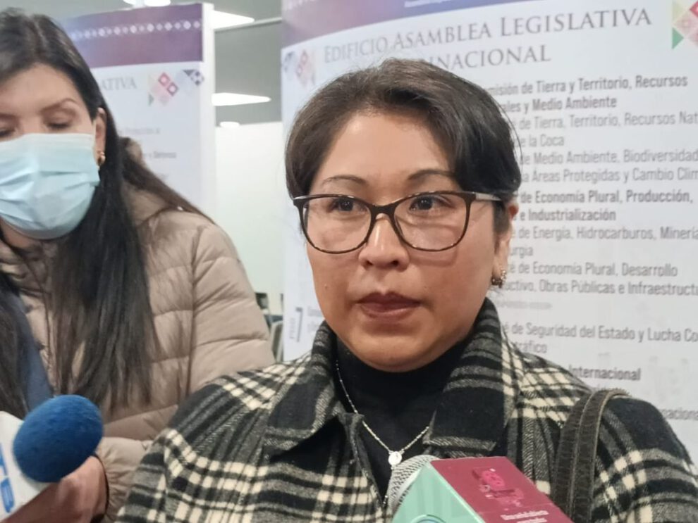 La diputada del MAS, Gladys Quispe, reclama sobre el presupuesto de senadores y diputados