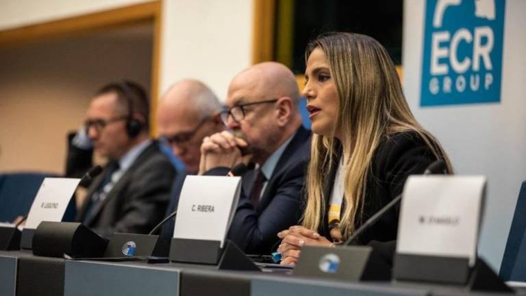 Juicio justo para Añez solicitado por Carolina Ribera en el Parlamento Europeo