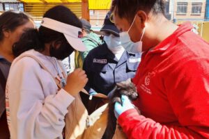 Rescate de animales en el Mercado Kantuta