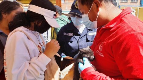 Rescate de animales en el Mercado Kantuta