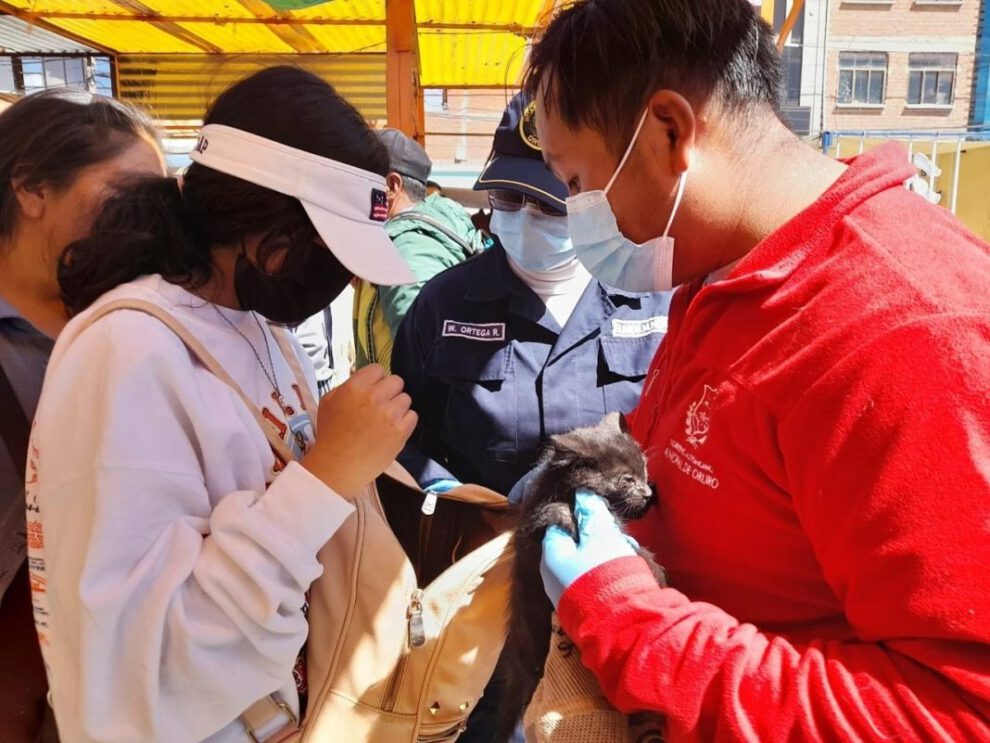 Rescate de animales en el Mercado Kantuta