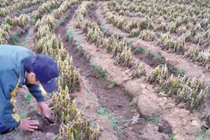 Desastres naturales en La Paz afectan a 93.000 familias
