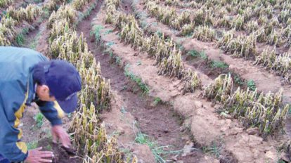 Desastres naturales en La Paz afectan a 93.000 familias