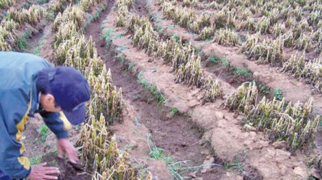Desastres naturales en La Paz afectan a 93.000 familias