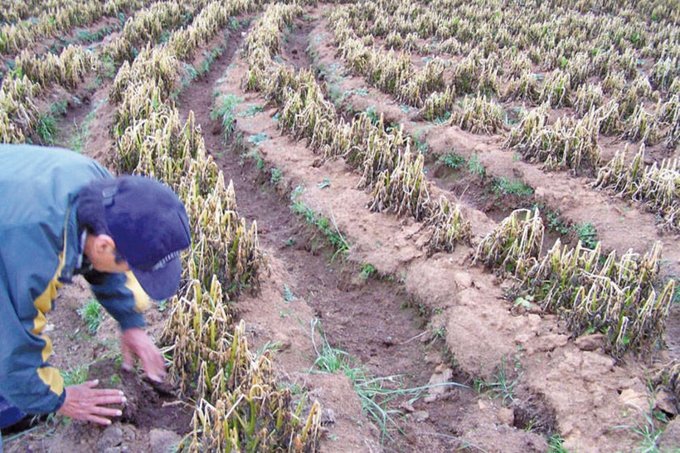 Desastres naturales en La Paz afectan a 93.000 familias