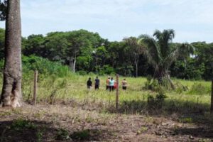 Operativos contra avasalladores en Santa Cruz