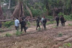 Avasalladores de tierra amenazan a periodistas en Guarayos