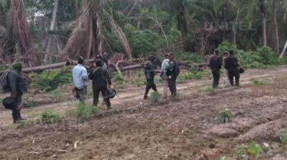 Avasalladores de tierra amenazan a periodistas en Guarayos