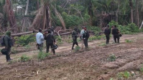 Avasalladores de tierra amenazan a periodistas en Guarayos
