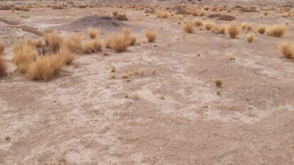 Sequía en Oruro afecta a 28 municipios declarados en desastre