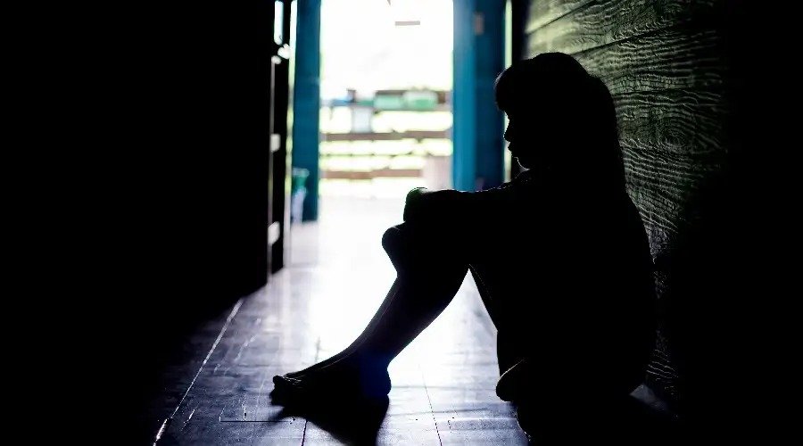 Tesis aprobadas por la Universidad de Chile que respaldan la pedofilia