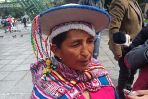 Lidia Patty pide aprehensión por intromisión de eurodiputados en Bolivia