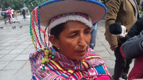 Lidia Patty pide aprehensión por intromisión de eurodiputados en Bolivia