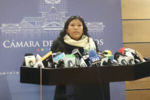Injerencia en Bolivia por eurodiputados según Alicia Ticona