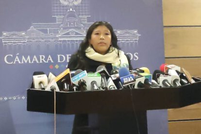 Injerencia en Bolivia por eurodiputados según Alicia Ticona