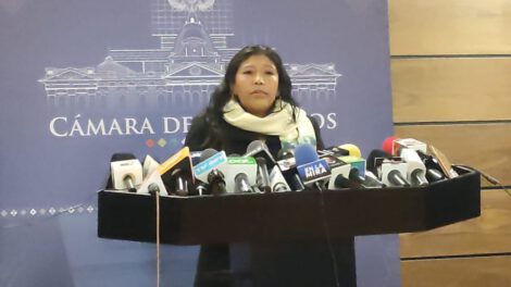 Injerencia en Bolivia por eurodiputados según Alicia Ticona