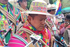 Injerencia de parlamentarios extranjeros en Bolivia