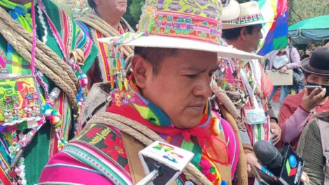 Injerencia de parlamentarios extranjeros en Bolivia