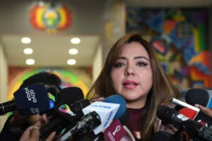 Manifestaciones por Camacho según la viceministra de Comunicación